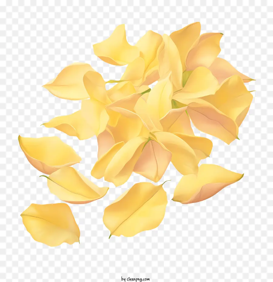 Kelopak Mawar Kuning，Kuning PNG