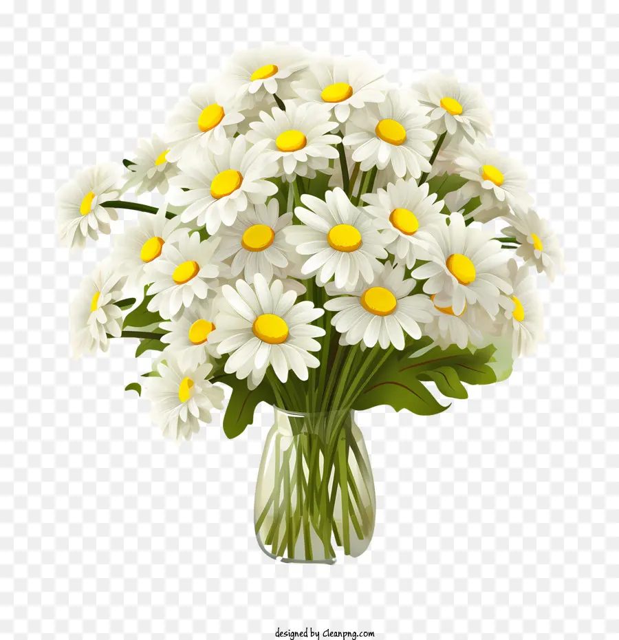 Bunga Daisy，Aster Putih PNG
