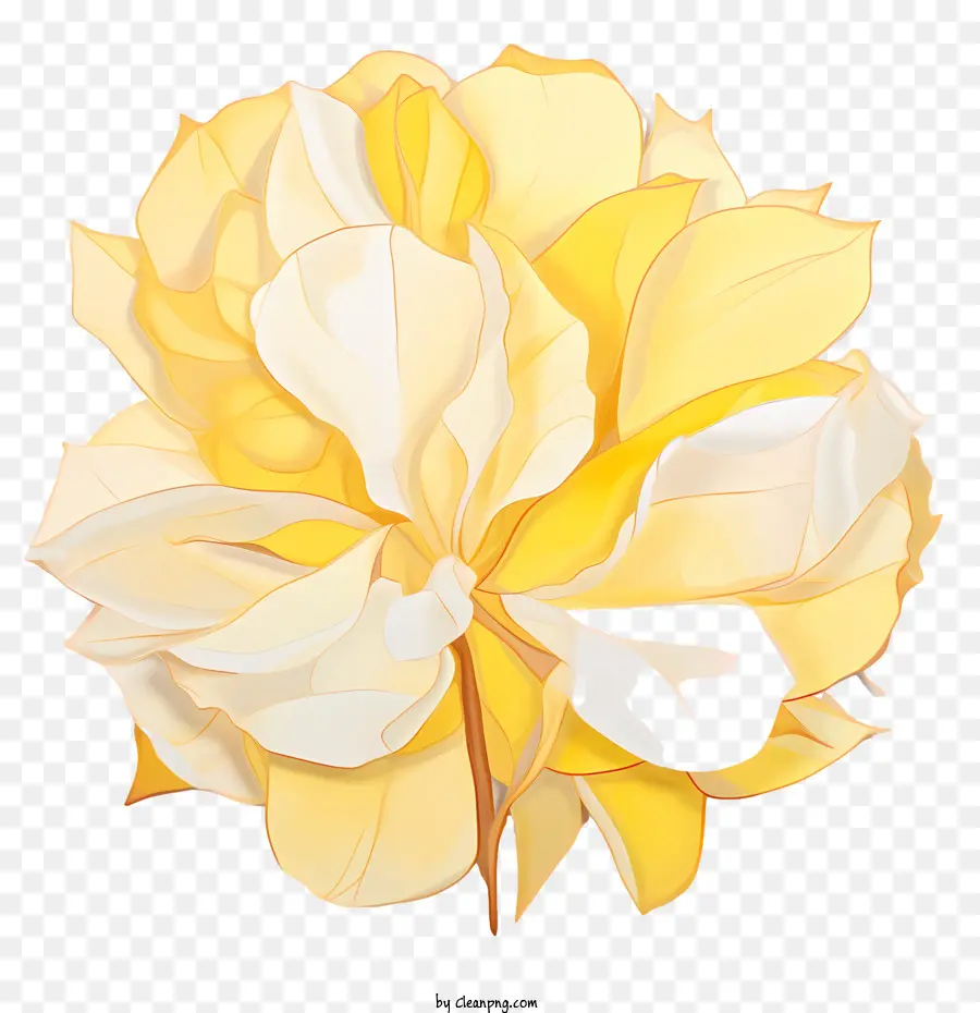 Kelopak Mawar Kuning，Bunga Kuning PNG