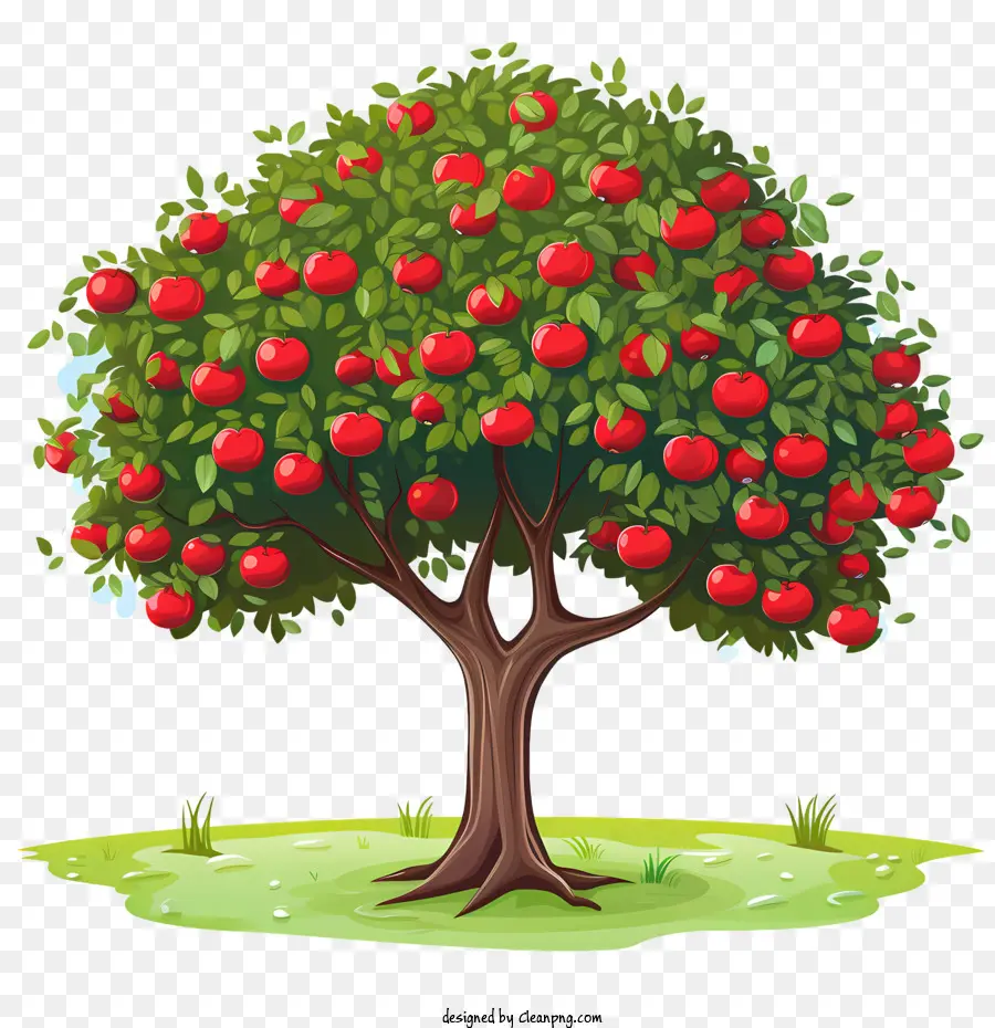 Pohon Buah，Pohon Apel PNG