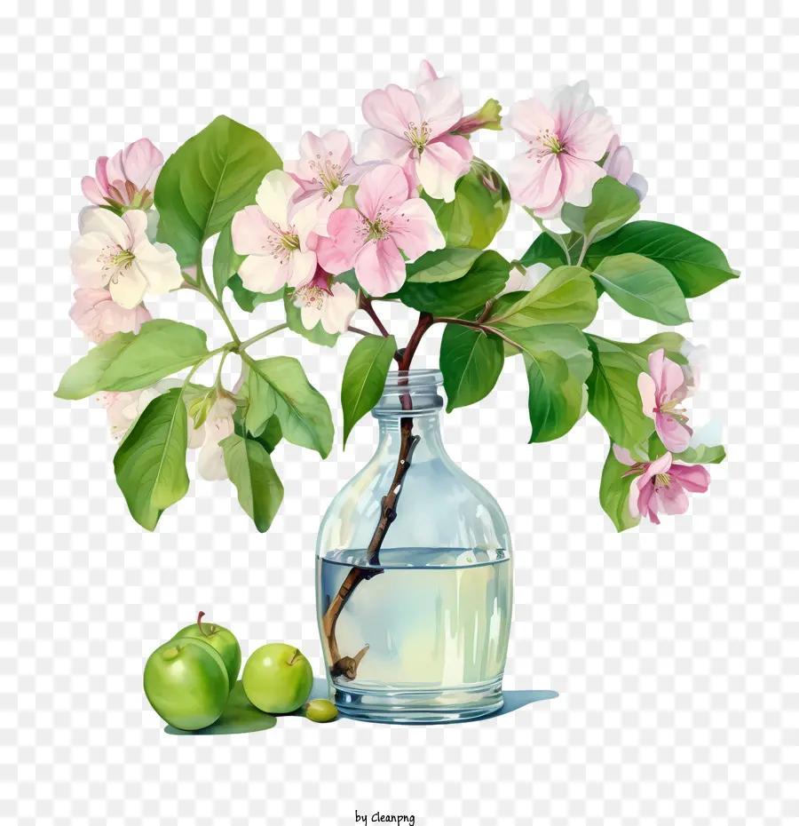 Apple Blossom，Karangan PNG