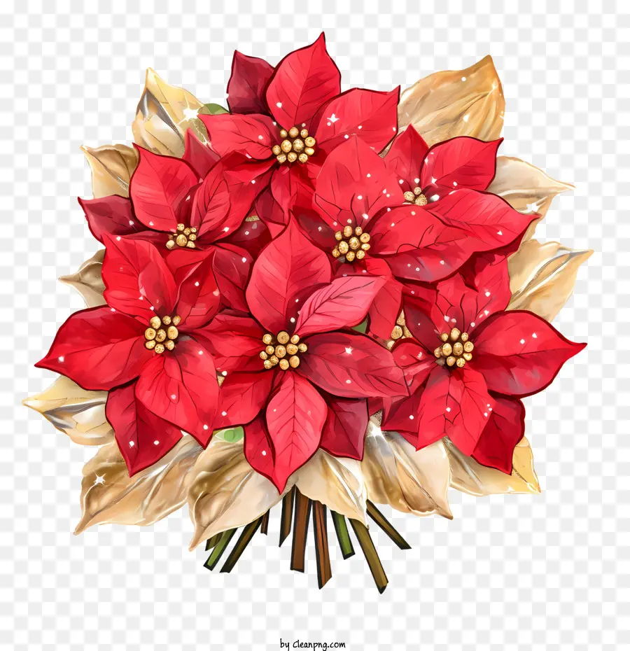 Bunga Poinsettia，Poinsettia Merah PNG