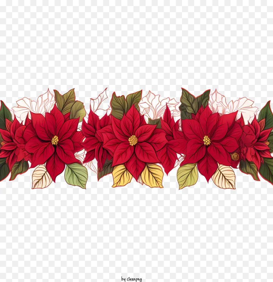 Perbatasan Bunga Poinsettia，Bunga Poinsettia PNG