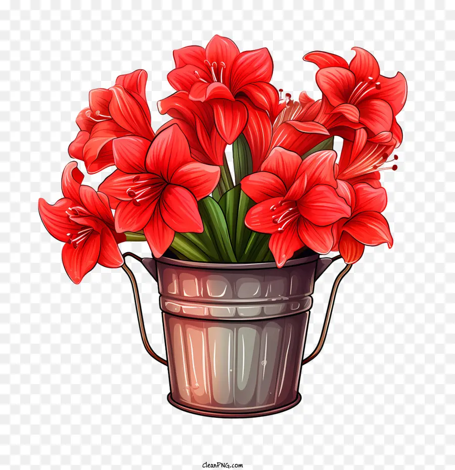 Bunga Amaryllis，Merah PNG