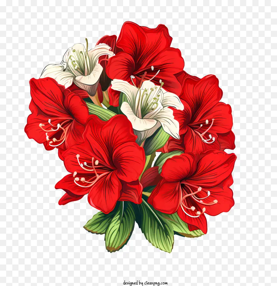 Bunga Amaryllis，Karangan PNG