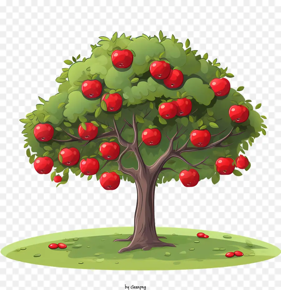 Pohon Apel Buah，Apel PNG