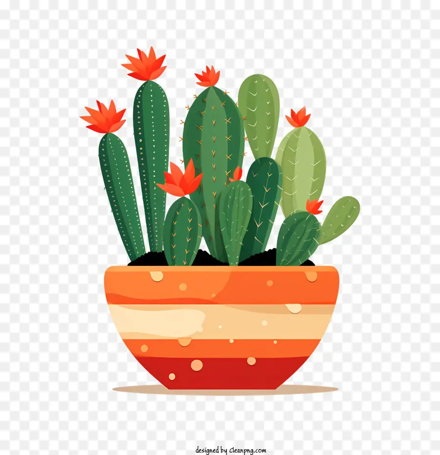 Kaktus，Pot PNG