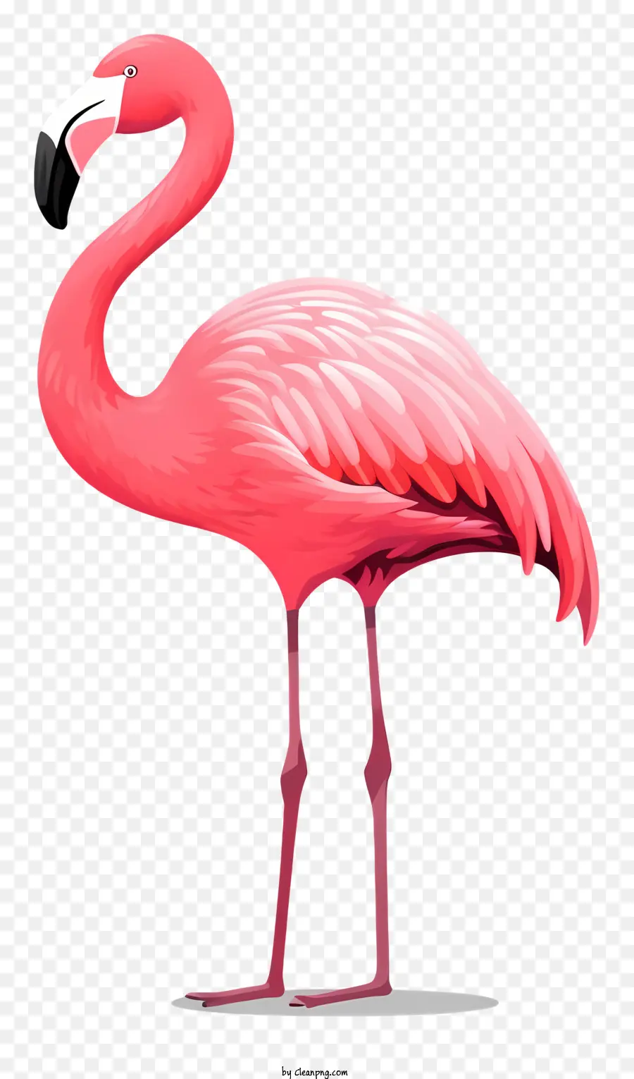 Flamingo Merah Muda，Flamingo Berdiri Dengan Satu Kaki PNG