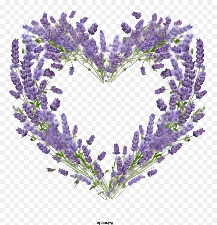 Karangan Bunga Lavender，Lavender PNG
