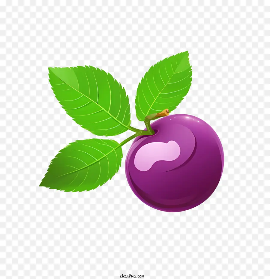 Prem，Plum Ungu PNG