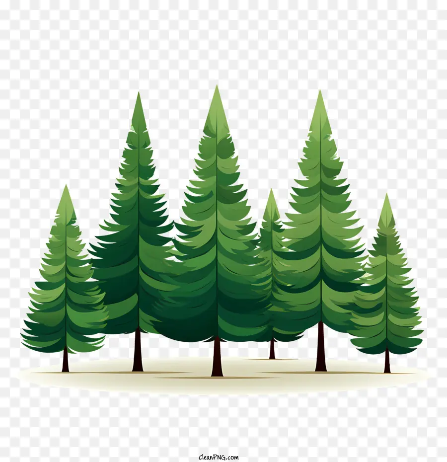 Pohon Natal，Pohon Pohon Pinus PNG