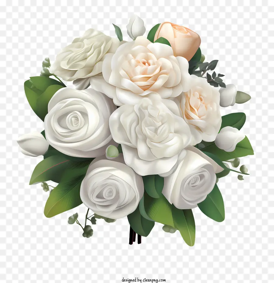 Bunga Mawar Putih，Mawar PNG