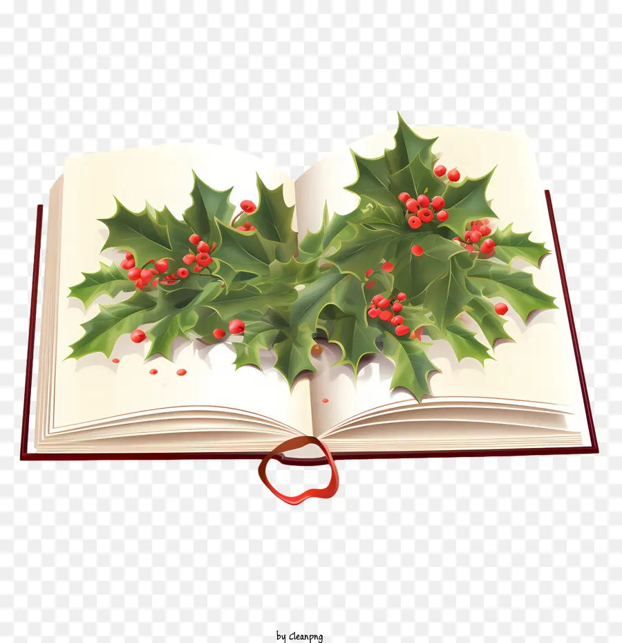 Natal Buku，Holly PNG