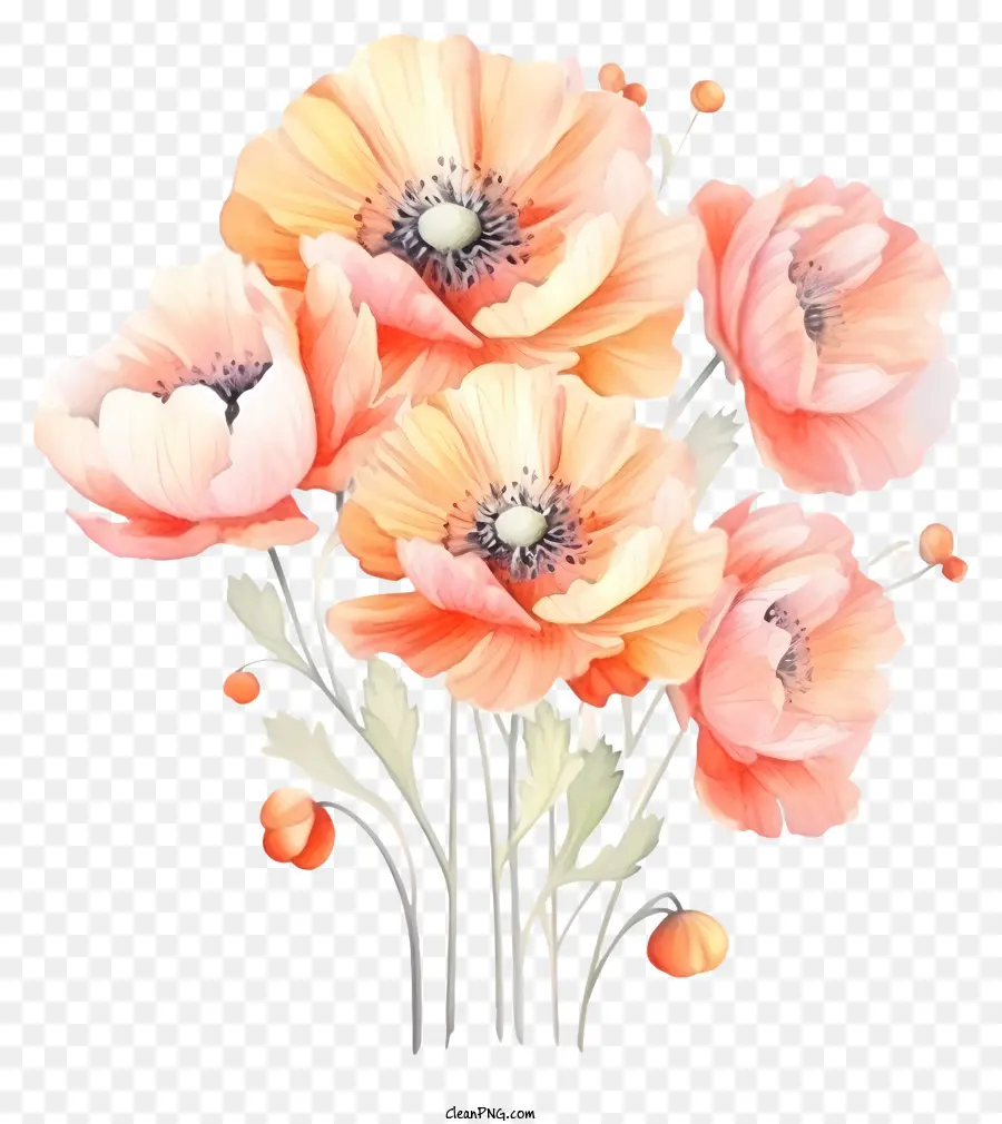 Bunga Berwarna Persik，Karangan PNG