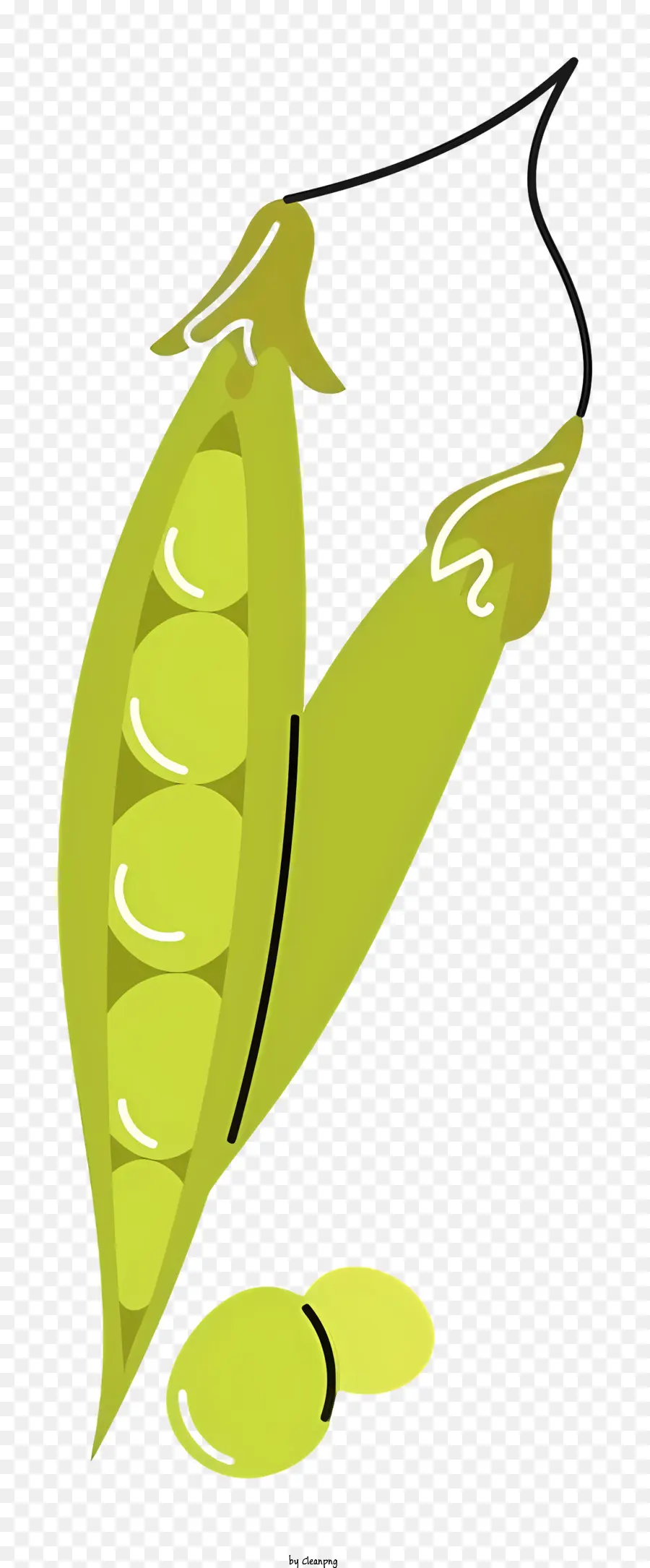 Pod Kacang Hijau，Sayuran PNG