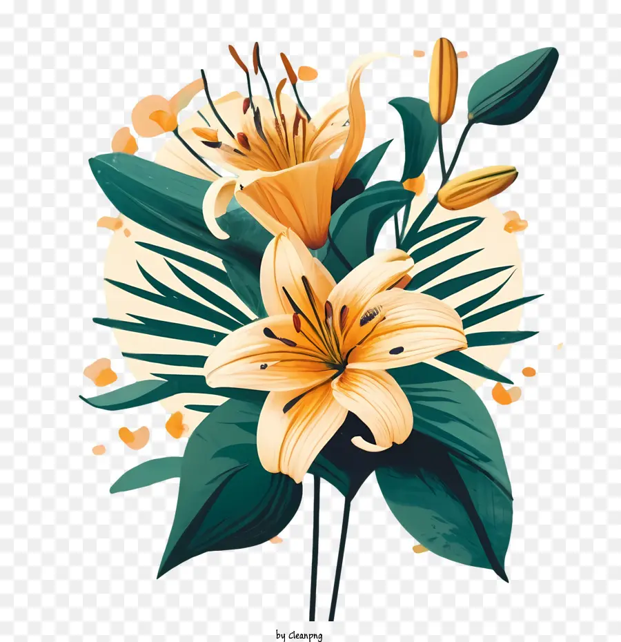 Bunga Lily，Bunga PNG