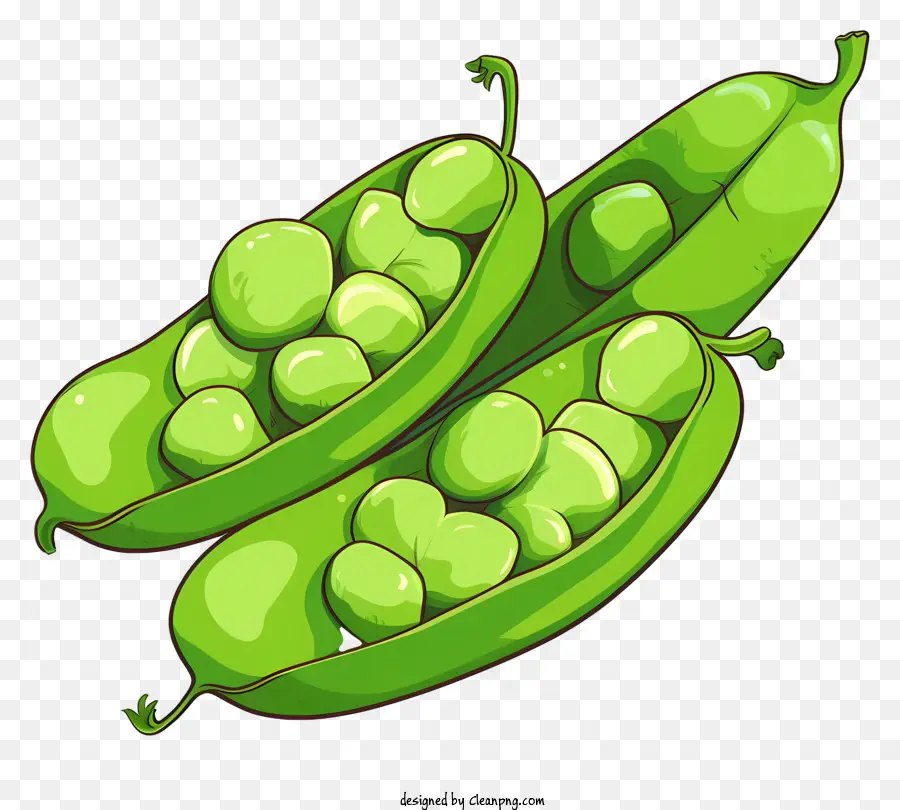 Kacang Polong Yang Baru Dipetik，Kacang Polong PNG