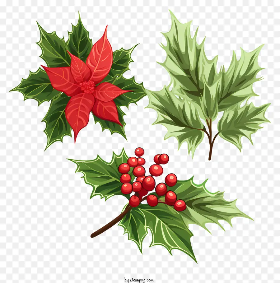 Holly Pergi，Holly Dan Pinus PNG