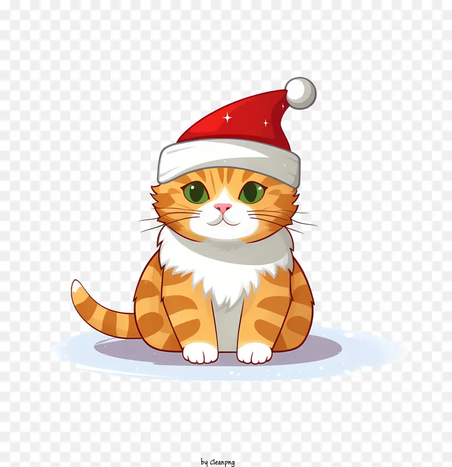 Natal Kucing，Kucing PNG