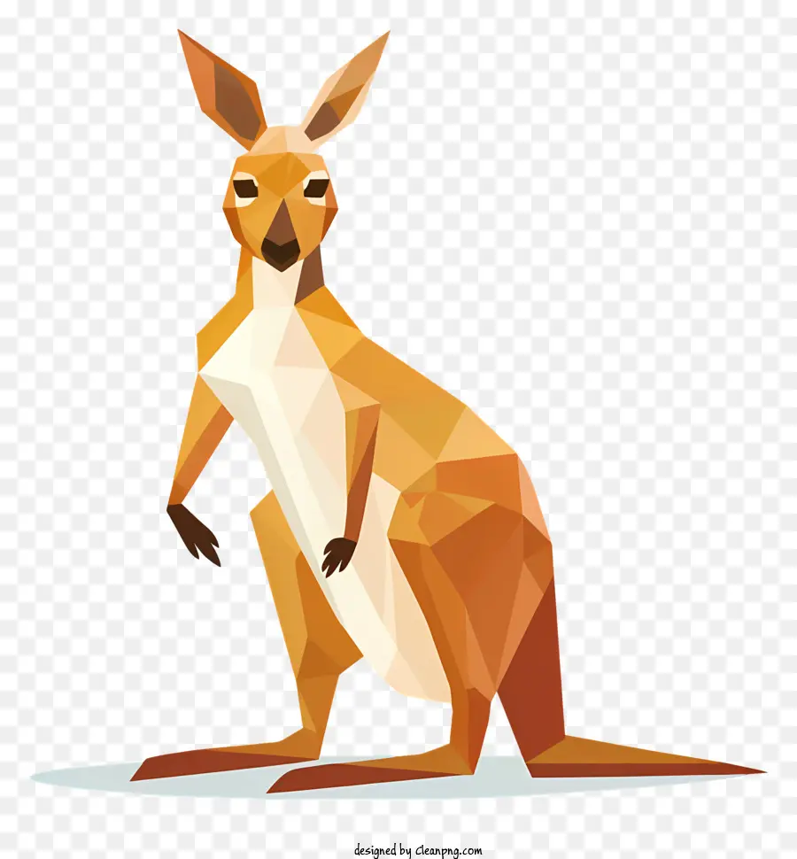 Kanguru，Australia PNG