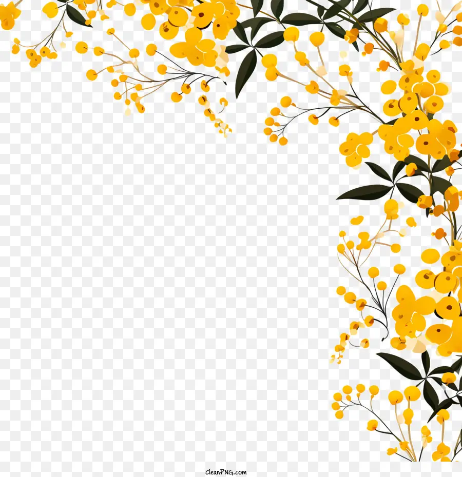 Golden Wattle，Karangan Bunga PNG