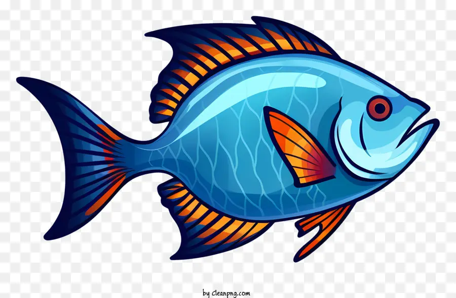 Ikan Biru，Sirip Oranye PNG