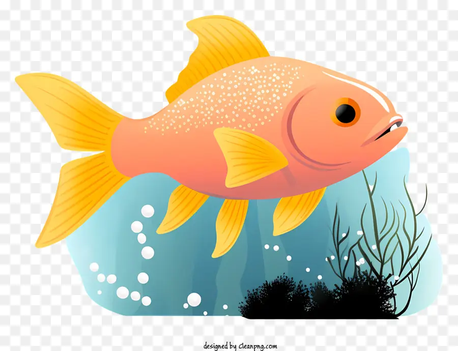 Ikan，Air PNG