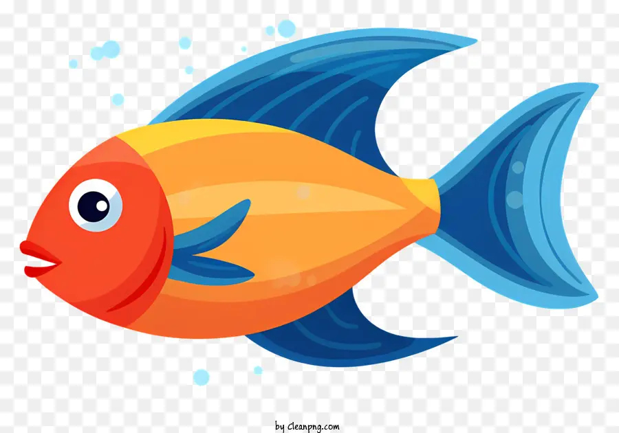 Ikan，Orange PNG