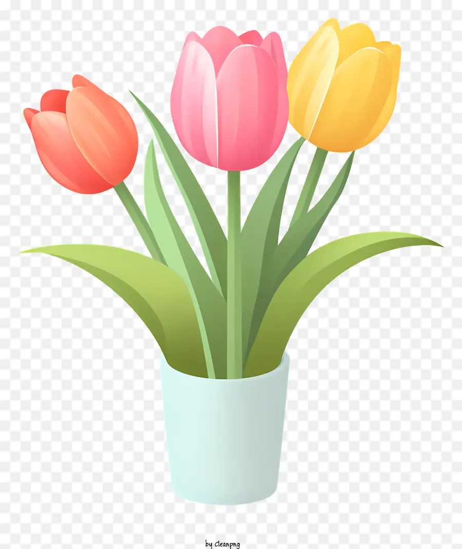 Tulip，Vas PNG