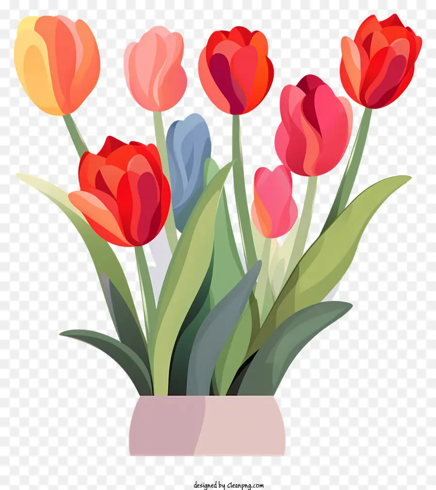 Tulip Pot，Pengaturan Tulip PNG