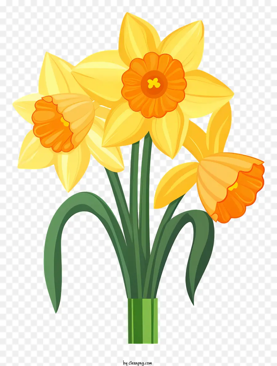 Daffodil Kuning，Vas Bakung PNG