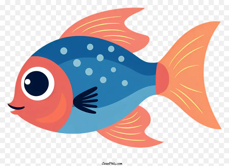 Ikan Warna Warni，Ikan Openmouthed PNG