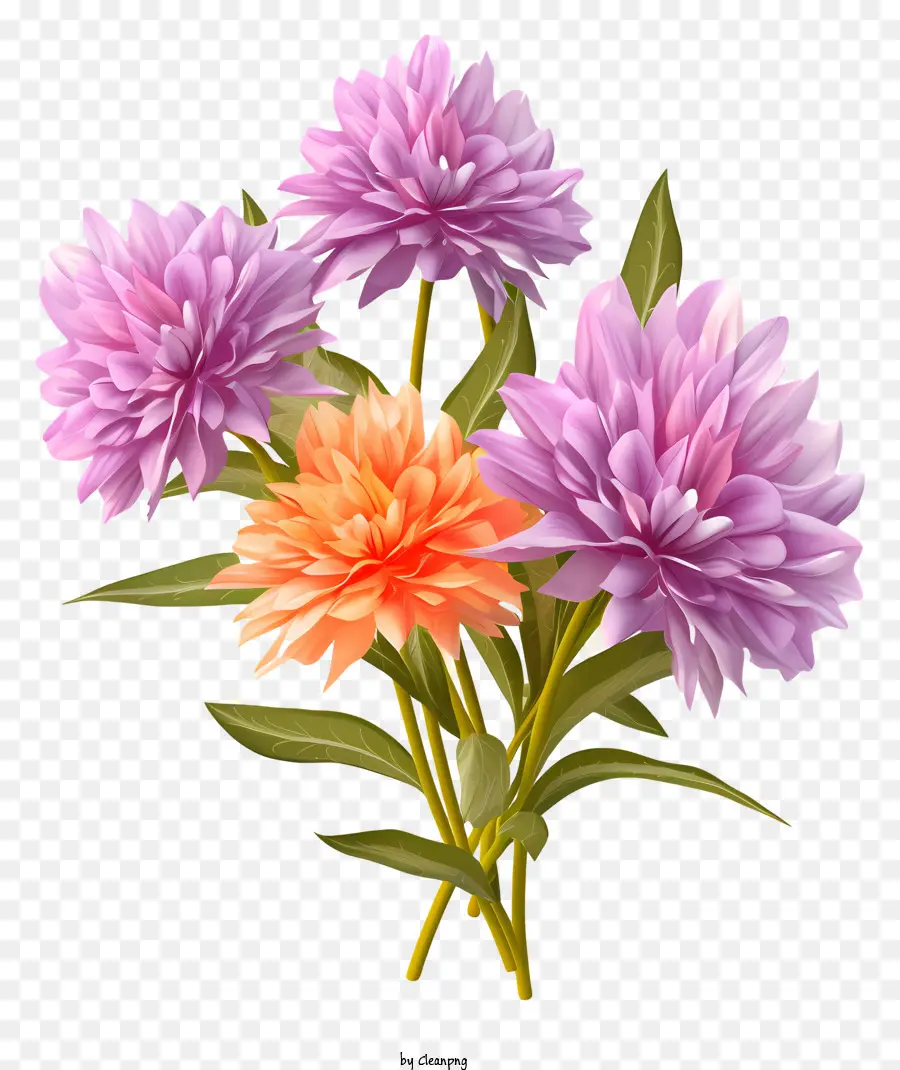 Bunga Dahlia，Bunga Ungu Dan Oranye PNG