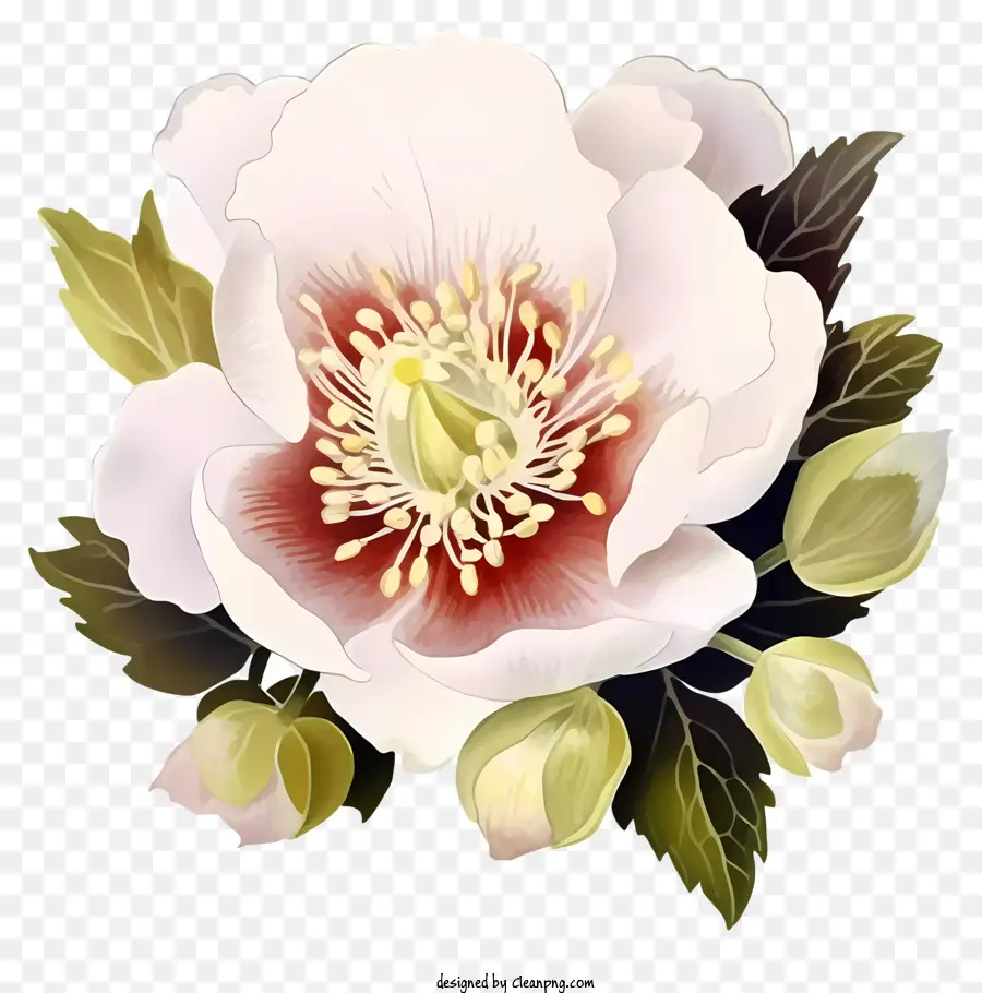 Bunga Putih，Daun Merah Dan Hijau PNG