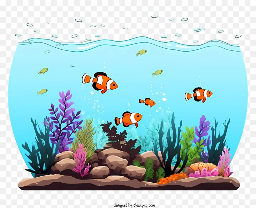 Adegan Bawah Air，Ikan Warna Warni PNG