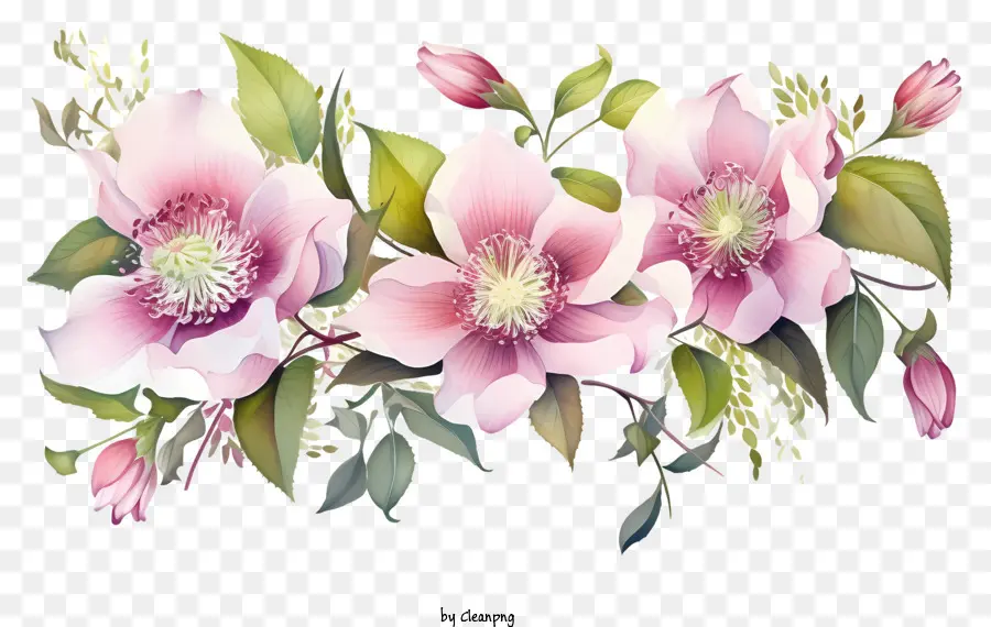 Bunga Merah Muda，Bunga Putih PNG