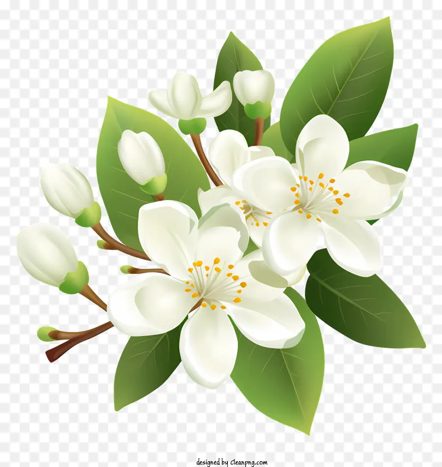 Bunga Putih，Lima Kelopak PNG