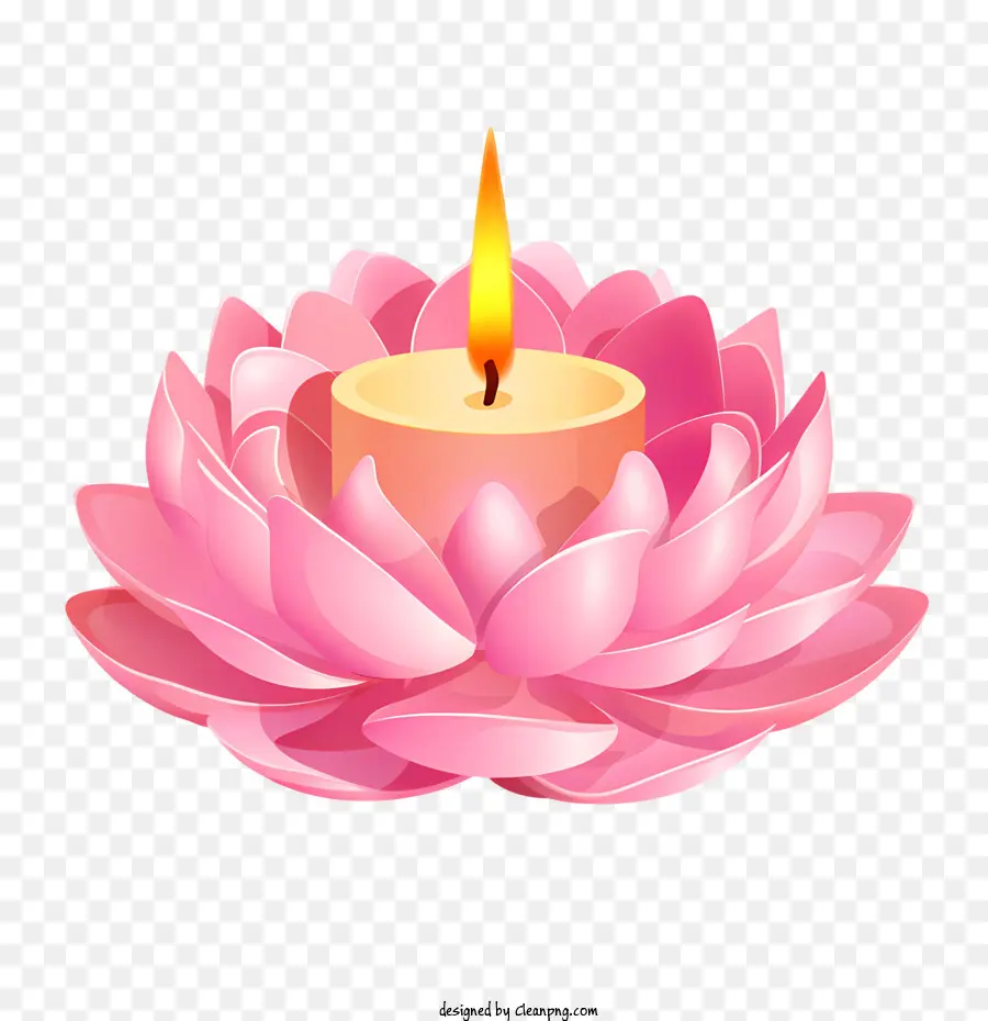 Bunga Lotus Lilin，Pink Lotus PNG