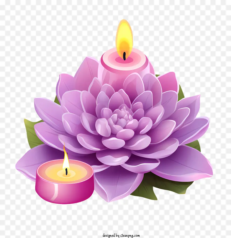 Bunga Lotus Lilin，Lotus PNG