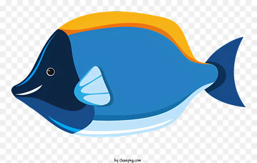 Ikan Biru，Ikan Kuning PNG