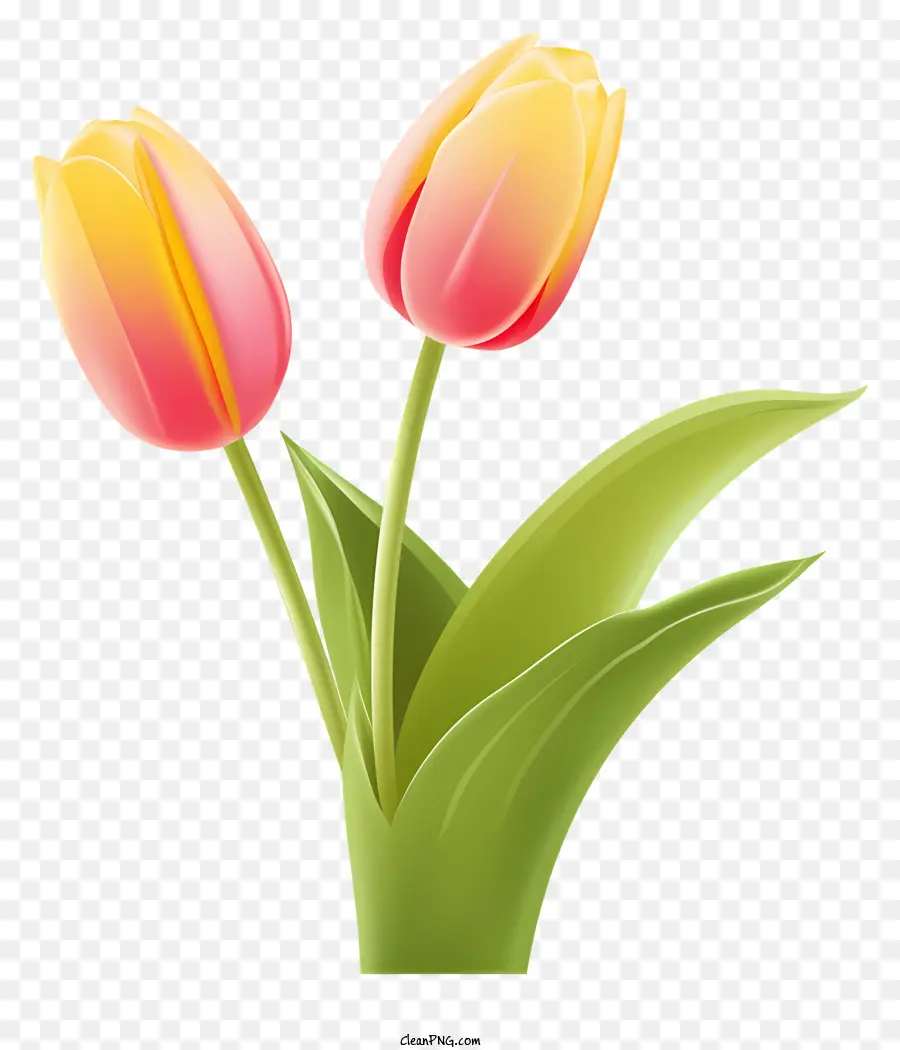 Pink Tulips，Pot Dengan Daun Hijau PNG