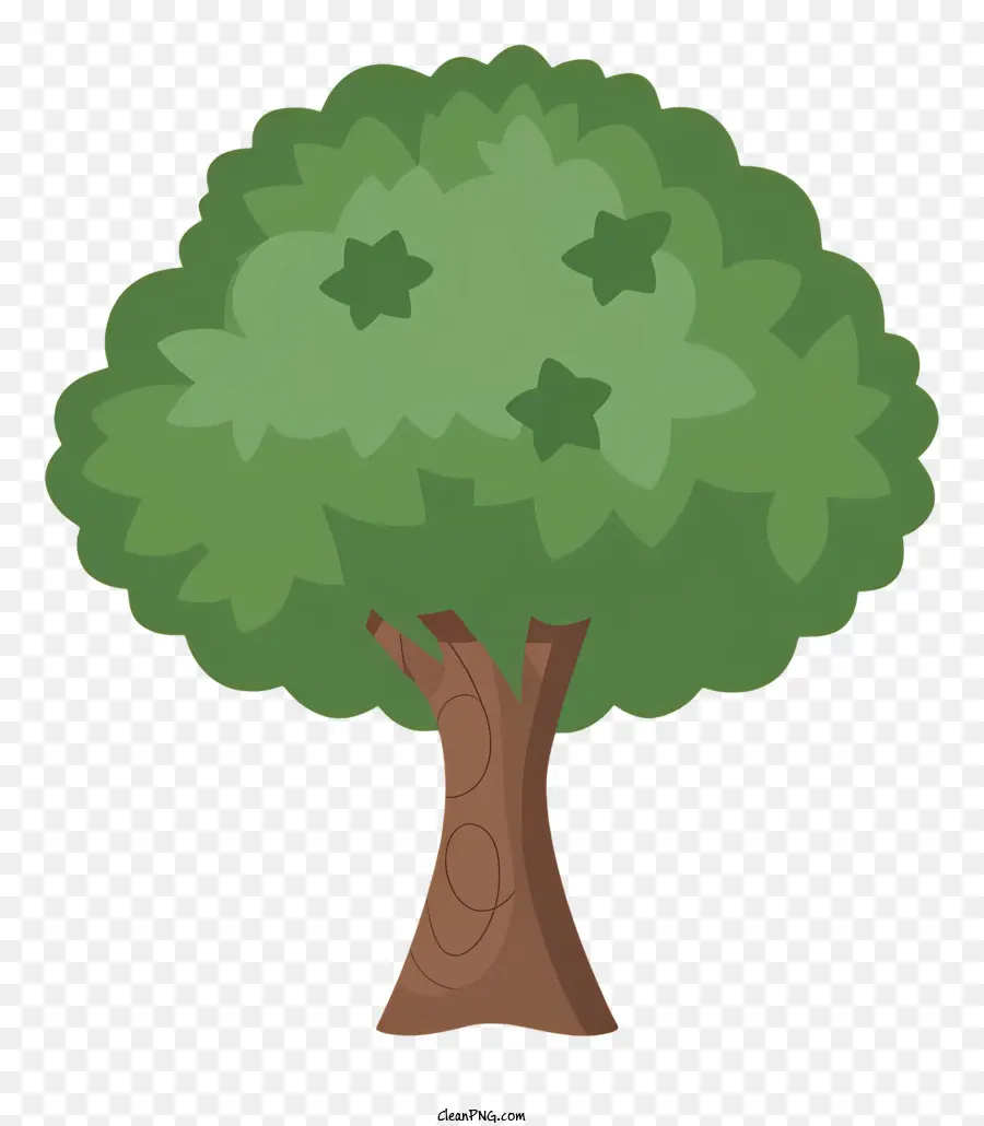 Pohon，Daun PNG