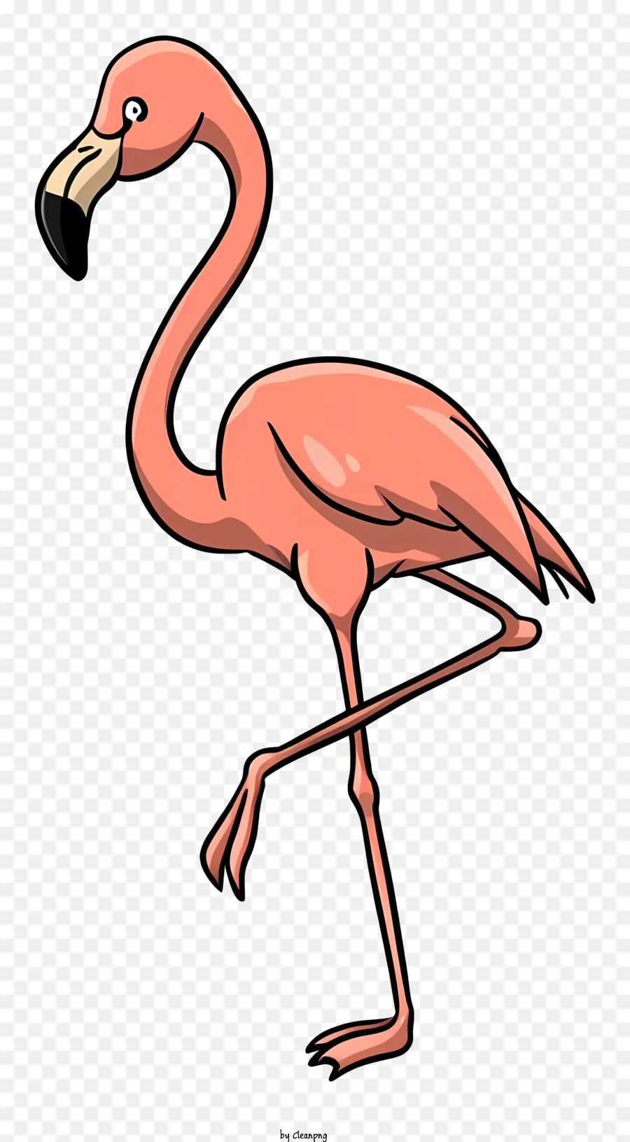 Flamingo Merah Muda，Berdiri Di Satu Kaki PNG