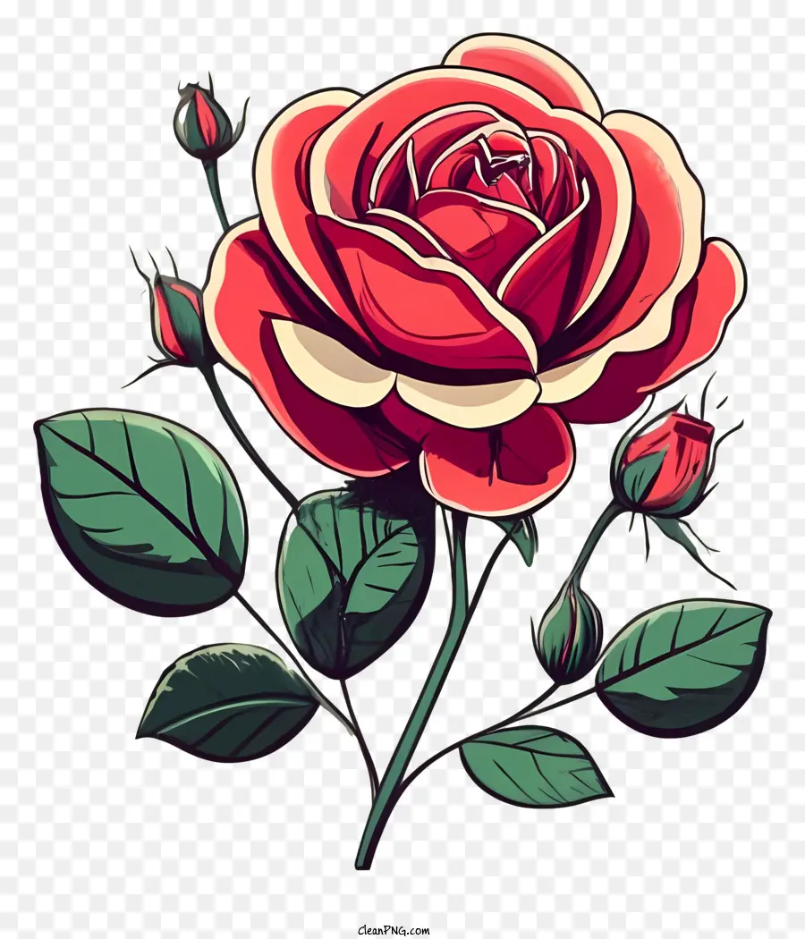 Mawar Merah，Hijau Daun PNG