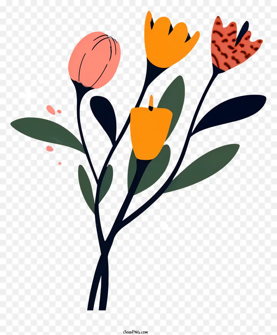 Tulip，Orange Tulip PNG