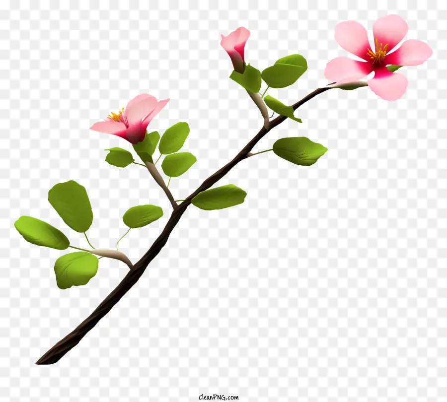 Cabang Dengan Bunga，Bunga Merah Muda PNG