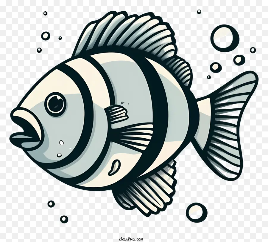 Ikan，Gambar Hitam Dan Putih PNG