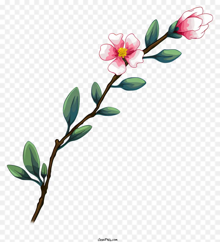 Bunga，Kelopak Merah Muda PNG