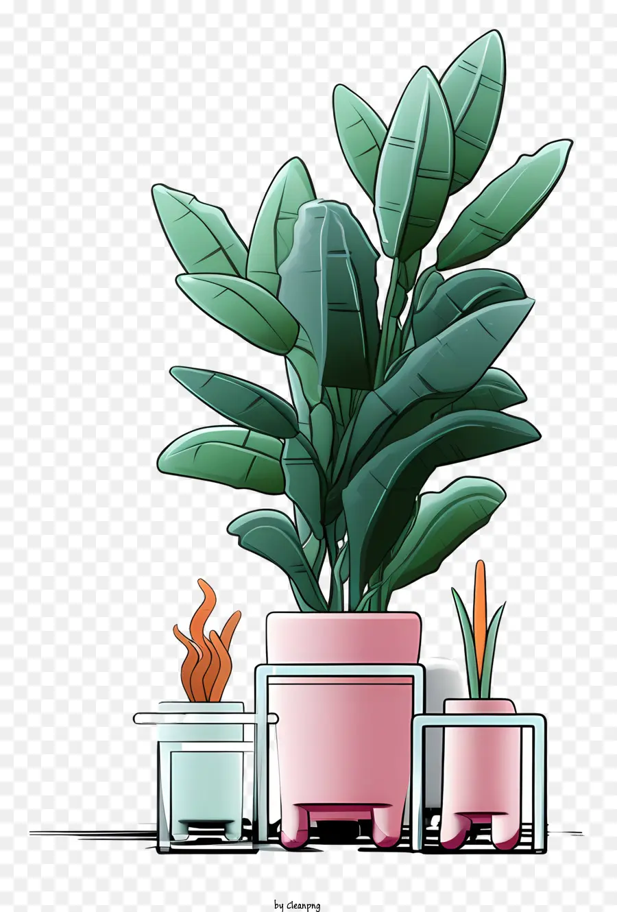 Pot Tanaman，Succulents PNG