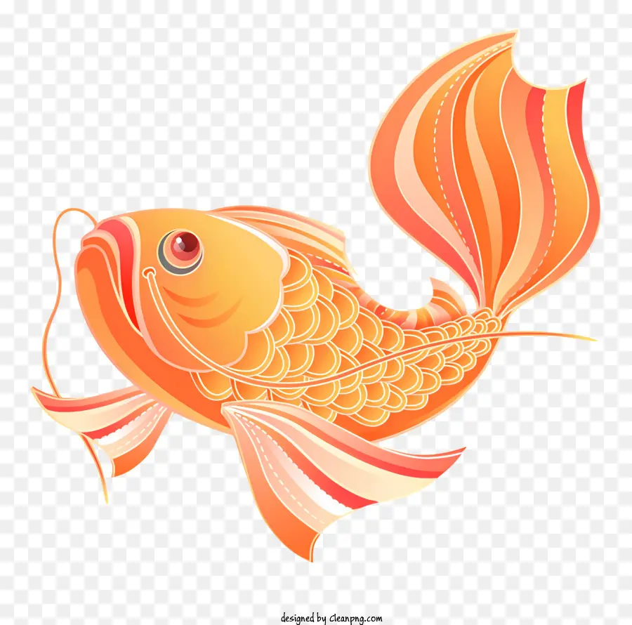 Ikan Mas，Tubuh Oranye PNG